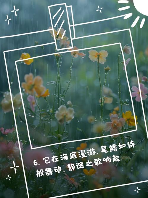 寫作魚寫作ai,在信息海洋里游弋的文字精靈 第1張 寫作魚寫作ai,在信息海洋里游弋的文字精靈 第1張