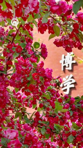 1蘇州經貿畢業論文打印指南，這些寶藏打印店讓畢業季輕松逆襲！