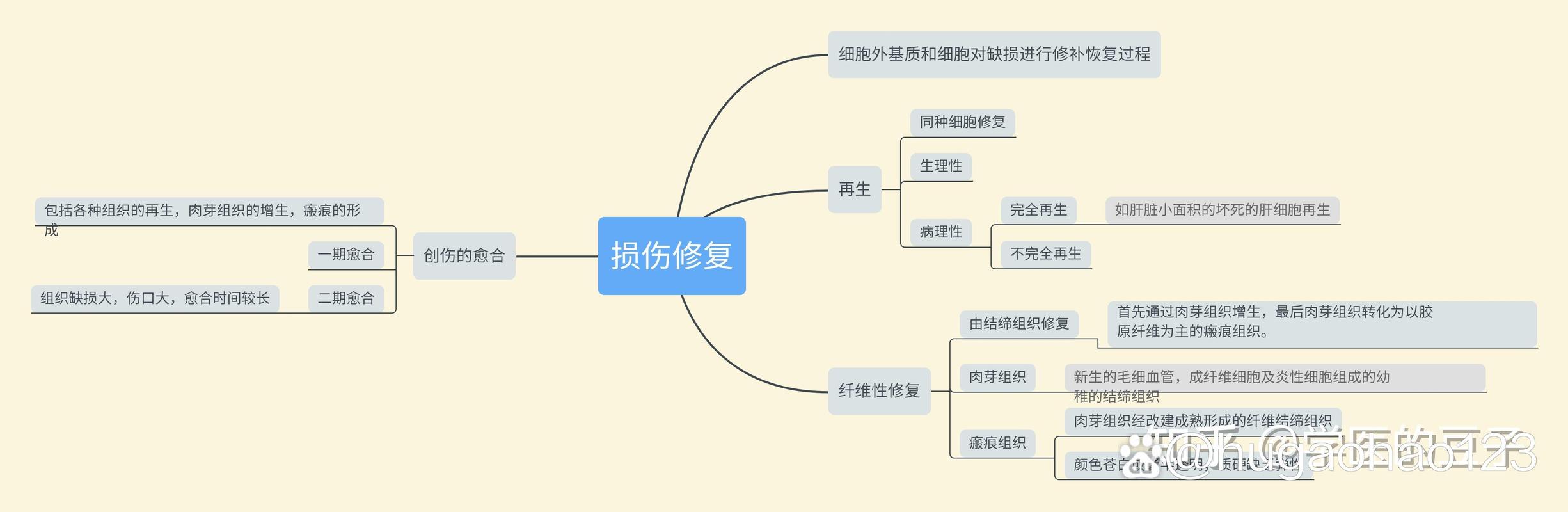 階級固化與人性救贖的辯證,基于基督山伯爵的社會病理學分析 第1張 階級固化與人性救贖的辯證,基于基督山伯爵的社會病理學分析 第1張