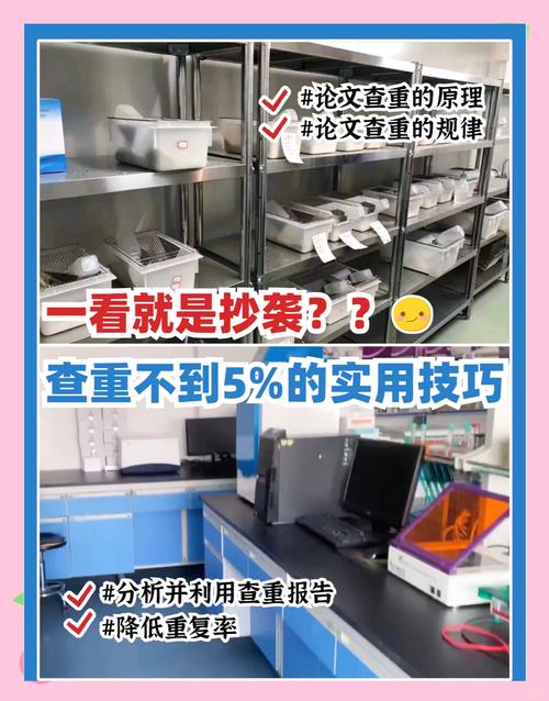 畢業論文查重每章通關秘籍,從救命指南到查重生存哲學的進階之路 第1張 畢業論文查重每章通關秘籍,從救命指南到查重生存哲學的進階之路 第1張