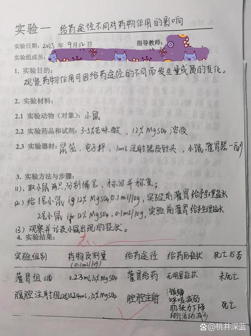 藥學類畢業論文課題支持方視角,以合理用藥守護生命質量為例 第1張 藥學類畢業論文課題支持方視角,以合理用藥守護生命質量為例 第1張