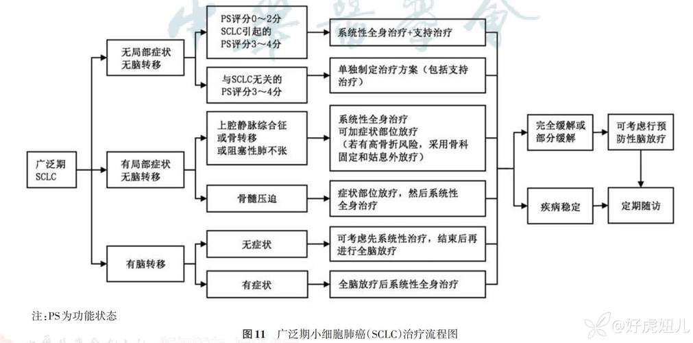 肺癌開題報告PPT,構建精準醫療的基石與核心工具 第1張 肺癌開題報告PPT,構建精準醫療的基石與核心工具 第1張