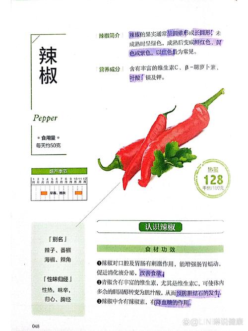 畢業論文,辣椒中的學術火種在當代的傳承與創新 第1張 畢業論文,辣椒中的學術火種在當代的傳承與創新 第1張