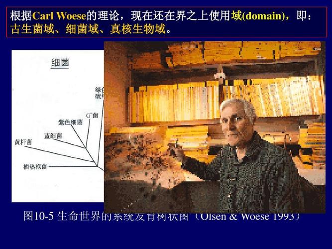 微生物,地球生命系統的隱形建筑師 第1張 微生物,地球生命系統的隱形建筑師 第1張