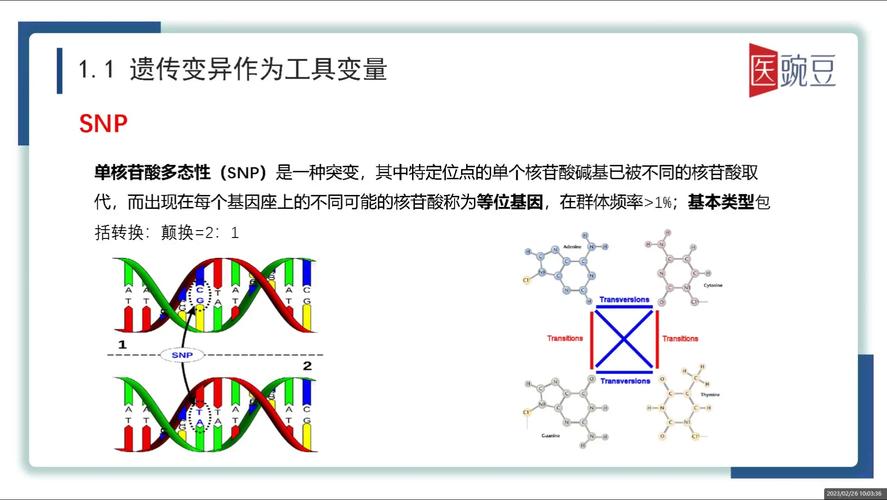 選項(隨機化組合) 第1張 選項(隨機化組合) 第1張