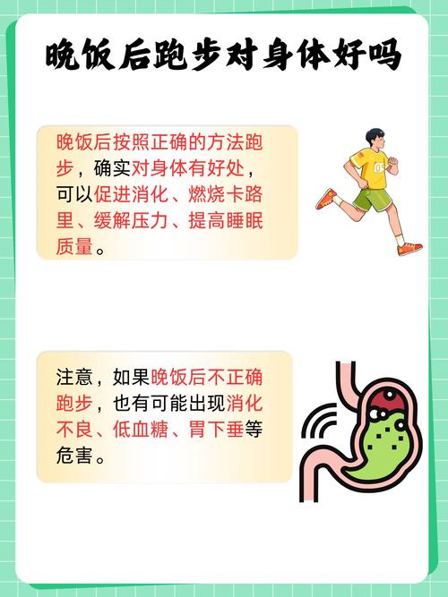 短跑運動員的飲食策略,從科學配餐到賽道沖刺的能量炸彈 第1張 短跑運動員的飲食策略,從科學配餐到賽道沖刺的能量炸彈 第1張