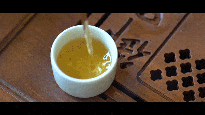 茶葉研究的新動態與前景，一份充滿期待的開題報告解讀