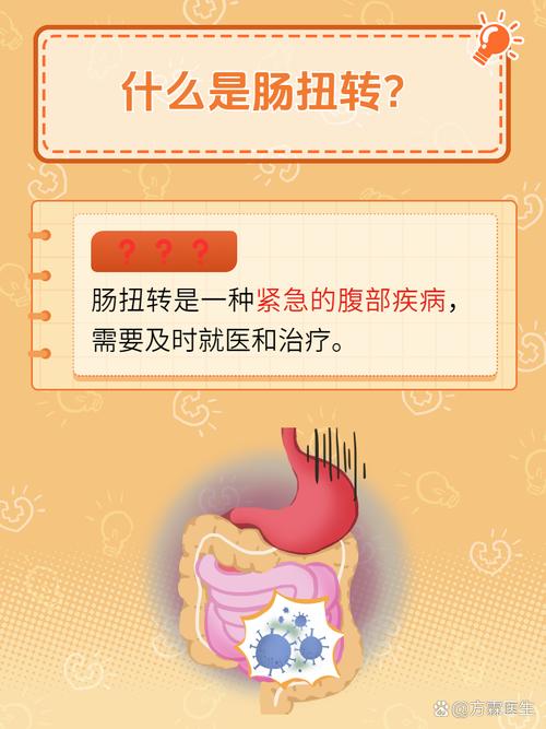 腸道異物研究，探索、挑戰(zhàn)與機遇