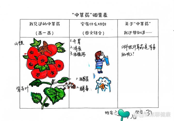 中藥學研究的深度探索,開題報告模板與你的研究之旅 第1張 中藥學研究的深度探索,開題報告模板與你的研究之旅 第1張