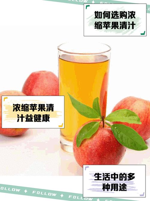 濃縮蘋果汁開題報告，探尋果汁濃縮背后的科技魅力  第1張