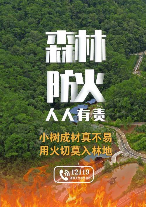 守護綠色生命線—森林防火的挑戰與對策 第1張 守護綠色生命線—森林防火的挑戰與對策 第1張