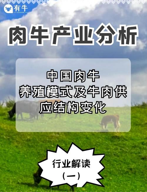 牛肉工廠設(shè)計(jì)創(chuàng)新研究，探索未來(lái)牛肉產(chǎn)業(yè)的新篇章