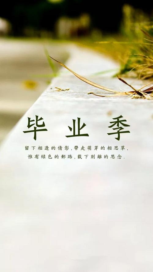 地理浪漫，畢業(yè)論文繪就青春篇章  第1張