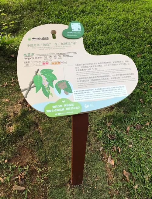 森林國家公園開題報告解讀，探索綠色生態之旅的新篇章