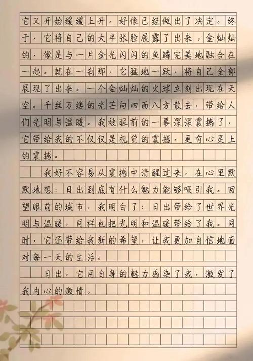 太陽出來啦，畢業論文終于綻放光芒！  第1張